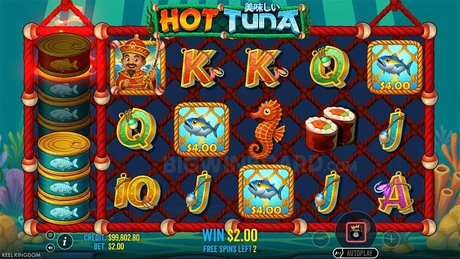 55bmw Responsible Gambling Practices